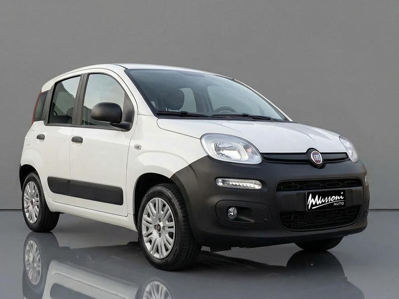 FIAT PANDA 1.3 MJT VAN CLIMBING 4X4